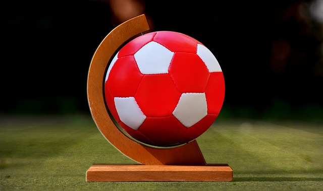 他不仅在 他不仅在