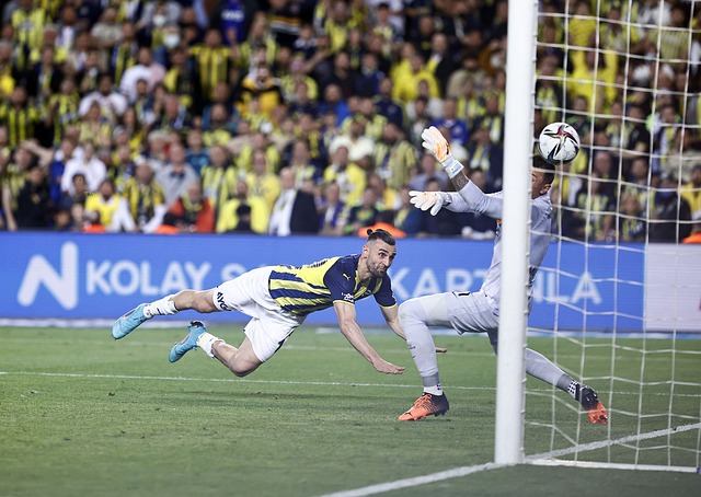 以其坚韧不 以其坚韧不