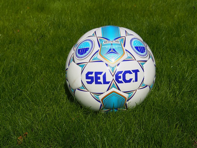 意通过引入 意通过引入