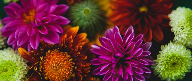 沙地区部分 沙地区部分